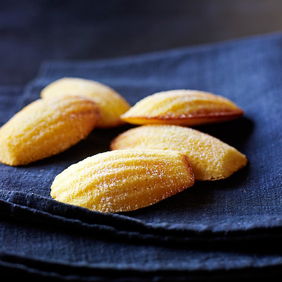 Williams Sonoma Goldtouch® Pro NonStick Madeleine Pan Pottery Barn